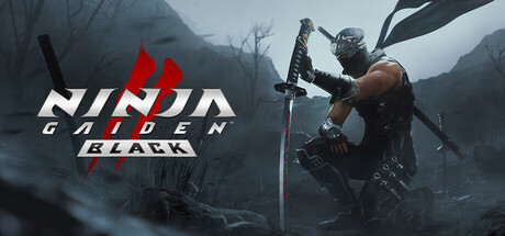 NINJA GAIDEN 2 Black cover art