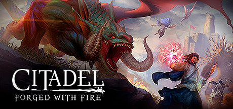 Citadel: Forged with Fire cover art