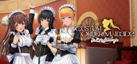 CUSTOM ORDER MAID 3D2 It's a Night Magic cover art