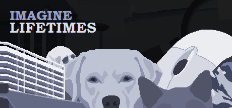 Imagine Lifetimes cover art
