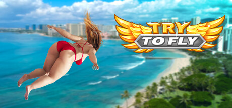 Try to Fly cover art