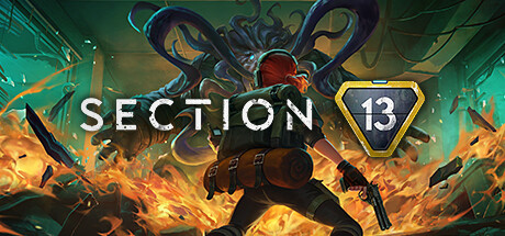 Section 13 cover art