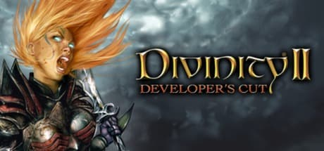 Divinity II: Developer's Cut cover art