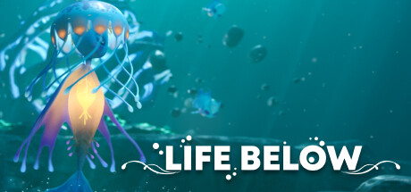 Life Below cover art