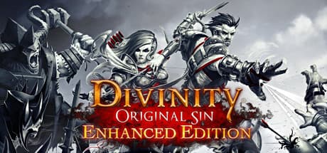 Divinity Original Sin (Enhanced Edition) cover art
