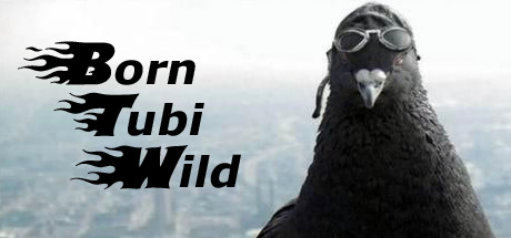 Born Tubi Wild cover art